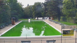 Basen Bystřice pod Hostýnem - Basen - 22.9.2026 v 14:45 Basen Bystřice pod Hostýnem - Basen - 22.9.2026 v 14:45