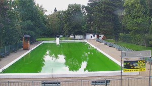 Basen Bystřice pod Hostýnem - Basen - 22.9.2026 v 15:45 Basen Bystřice pod Hostýnem - Basen - 22.9.2026 v 15:45
