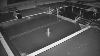 Snímek 8.11.2025 v 20:15