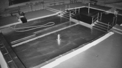 Brouzdaliště