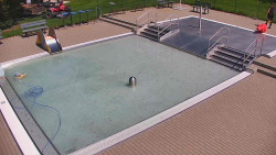 Brouzdaliště
