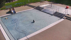 Brouzdaliště
