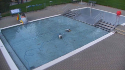 Brouzdaliště