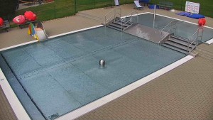 Koupaliště Bystřice pod Hostýnem - Brouzdaliště - 22.7.2026 v 15:45 Koupaliště Bystřice pod Hostýnem - Brouzdaliště - 22.7.2026 v 15:45