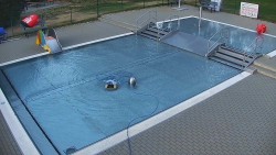Brouzdaliště