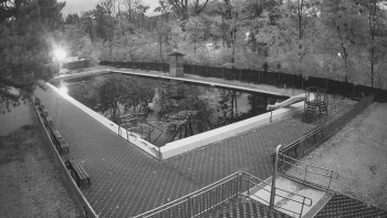 Snímek    29.10.2025 v 06:00