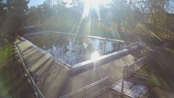 Snímek 6.11.2025 v 09:15