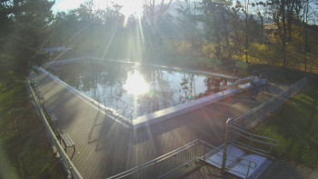 Snímek 7.11.2025 v 08:30