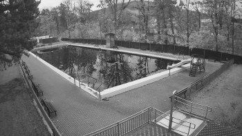 Snímek 8.11.2025 v 06:30