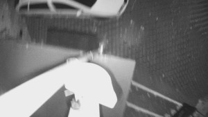 Koupaliště Bystřice pod Hostýnem - Hlavní bazén - 17.11.2025 v 02:30 Koupaliště Bystřice pod Hostýnem - Hlavní bazén - 17.11.2025 v 02:30