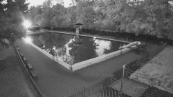 Main pool