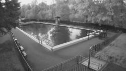 Main pool