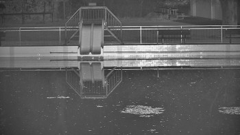 Snímek 8.11.2025 v 19:00