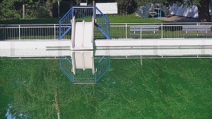 Bystřice pod Hostýnem Swimming Pool - Slide - 15.9.2026 v 08:45 Bystřice pod Hostýnem Swimming Pool - Slide - 15.9.2026 v 08:45