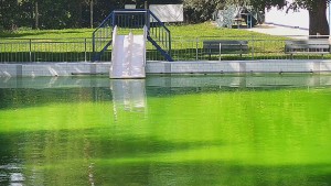 Schwimmbad Bystřice pod Hostýnem - Folie - 16.9.2026 v 11:45 Schwimmbad Bystřice pod Hostýnem - Folie - 16.9.2026 v 11:45
