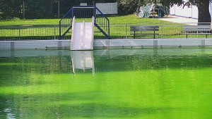 Schwimmbad Bystřice pod Hostýnem - Folie - 16.9.2026 v 12:45 Schwimmbad Bystřice pod Hostýnem - Folie - 16.9.2026 v 12:45
