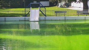 Schwimmbad Bystřice pod Hostýnem - Folie - 16.9.2026 v 13:45 Schwimmbad Bystřice pod Hostýnem - Folie - 16.9.2026 v 13:45