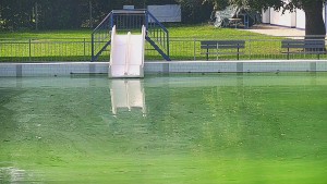Schwimmbad Bystřice pod Hostýnem - Folie - 16.9.2026 v 14:45 Schwimmbad Bystřice pod Hostýnem - Folie - 16.9.2026 v 14:45