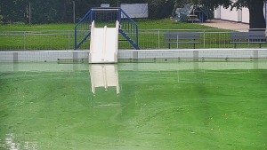 Schwimmbad Bystřice pod Hostýnem - Folie - 16.9.2026 v 15:00 Schwimmbad Bystřice pod Hostýnem - Folie - 16.9.2026 v 15:00