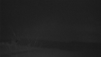 Snímek    1.11.2025 v 02:33