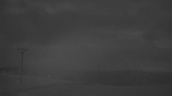 Snímek 3.11.2025 v 19:33