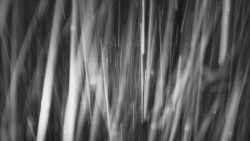 Troják, Maruška - panorama 2