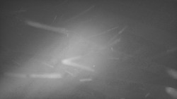 Troják, Maruška - panorama 2