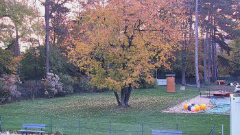 Snímek    25.10.2025 v 07:15