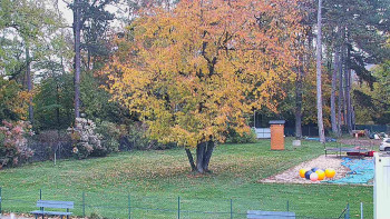 Snímek    25.10.2025 v 12:45