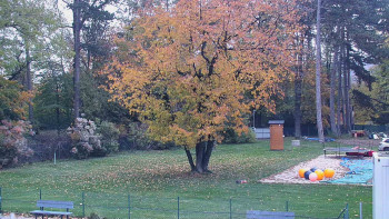 Snímek    25.10.2025 v 17:45