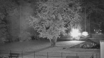 Snímek    26.10.2025 v 05:00