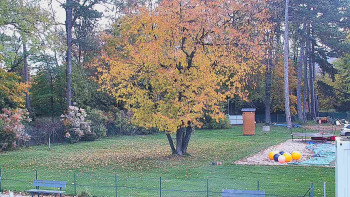 Snímek    26.10.2025 v 09:00