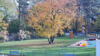 Snímek    26.10.2025 v 10:00