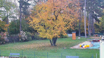 Snímek    26.10.2025 v 12:45