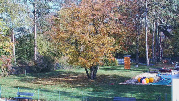 Snímek    26.10.2025 v 14:15