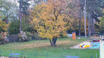Snímek    27.10.2025 v 07:15