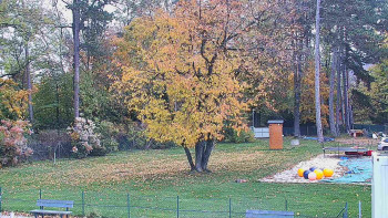 Snímek    27.10.2025 v 09:45