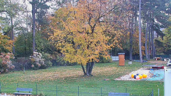 Snímek    27.10.2025 v 10:00