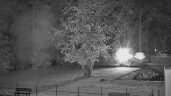 Snímek    28.10.2025 v 01:30