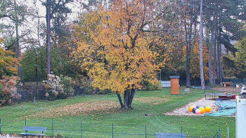 Snímek    28.10.2025 v 09:30