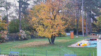 Snímek    28.10.2025 v 12:15