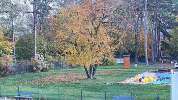 Snímek    28.10.2025 v 12:30