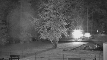 Snímek    28.10.2025 v 19:30