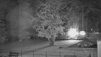 Snímek    28.10.2025 v 23:15