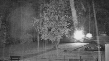 Snímek    29.10.2025 v 02:15