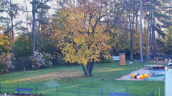 Snímek    29.10.2025 v 07:45