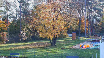 Snímek    29.10.2025 v 08:45