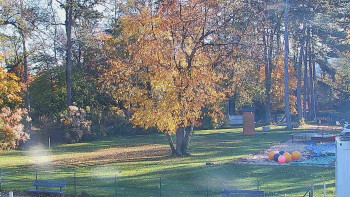 Snímek    29.10.2025 v 09:15