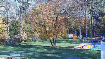 Snímek    29.10.2025 v 13:15