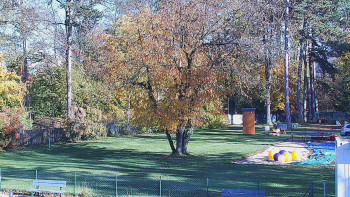 Snímek    29.10.2025 v 13:30